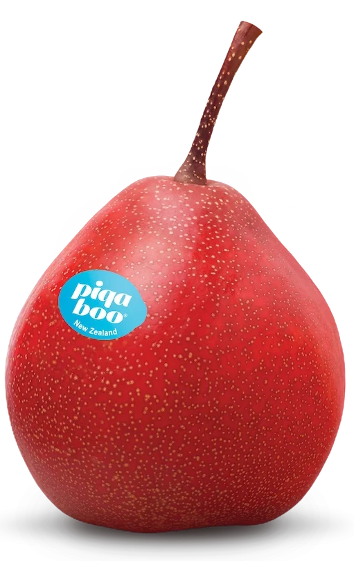 single-pear-new
